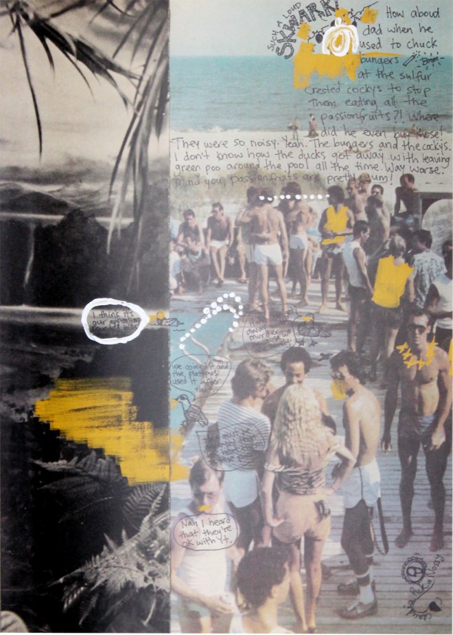 ducks_by_the_pool_collage